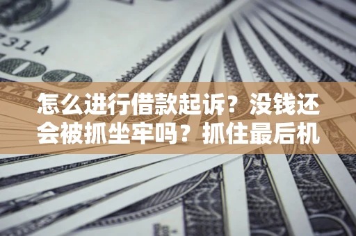 武汉怎么进行借款起诉？没钱还会被抓坐牢吗？抓住最后机会！