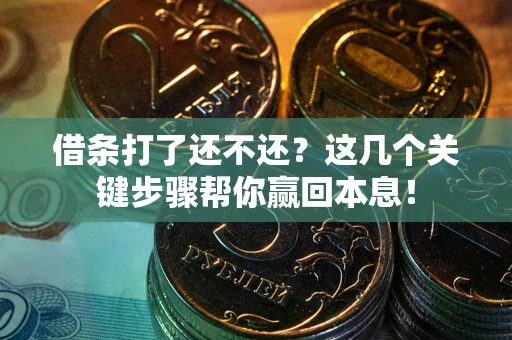 武汉借条打了还不还？这几个关键步骤帮你赢回本息！