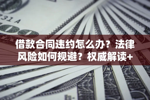 武汉借款合同违约怎么办？法律风险如何规避？权威解读+实用指南