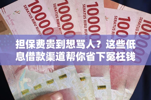 武汉担保费贵到想骂人？这些低息借款渠道帮你省下冤枉钱