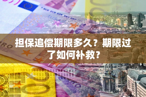 武汉担保追偿期限多久？期限过了如何补救？