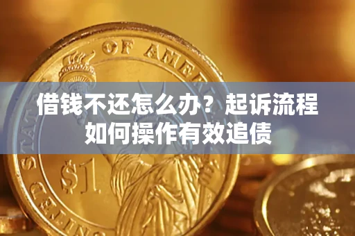 武汉借钱不还怎么办？起诉流程如何操作有效追债