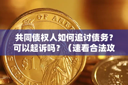 武汉共同债权人如何追讨债务？可以起诉吗？（速看合法攻略）