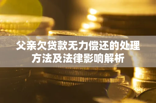 武汉父亲欠贷款无力偿还的处理方法及法律影响解析