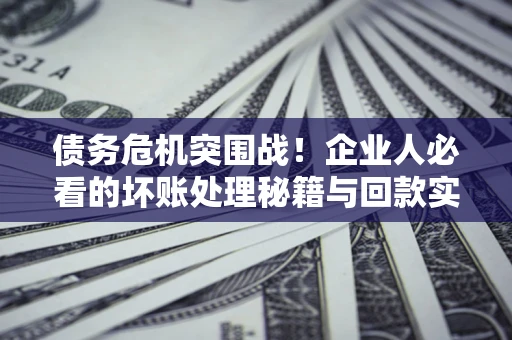 武汉债务危机突围战！企业人必看的坏账处理秘籍与回款实战指南
