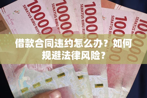 武汉借款合同违约怎么办？如何规避法律风险？